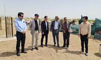 دکتر اسماعیلیان، رئیس دانشگاه: با حمایت های صورت گرفته از سوی وزارت علوم، روند اجرایی پروژه خوابگاه متاهلان سرعت گرفته است.
